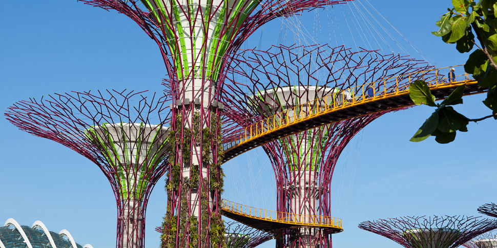 Singapour se prend pour un jardin
